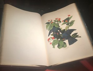 2017.6.18.Cellphone 057